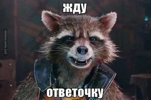 Песня из рилса с енотом