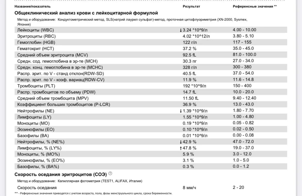 Биохимический анализ крови ферритин норма у мужчин. Анализ крови ферритин железо норма у детей. Анализ на железо в крови ферритин норма. Общий анализ крови базофилы норма. Что значит высокие лимфоциты в крови