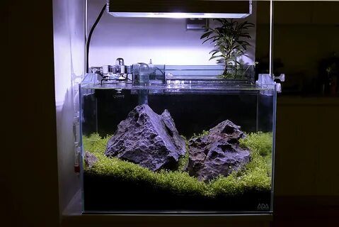Nano tanks
