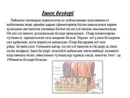 Шұлықтағы эротиканы ояту видео