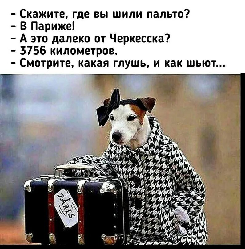 Хочу вернуть девушку. Опять хочется в париж. Снова я пытаюсь. Снова я пытаюсь. Возвращает девушку.