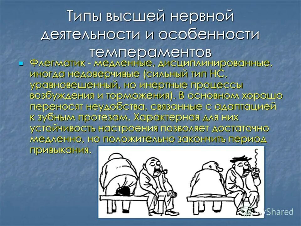 Типы высшей нервной деятельности. Тип ВНД флегматик. Типы высшей нервной деятельности меланхолик. Типы ВНД человека. Темпераменты огэ