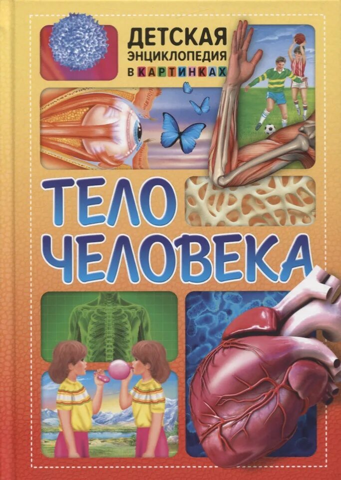 Энциклопедия тело человека. Тело человека энциклопедия для детей. Тело человека книга. Тело человека книга для детей. Книга энциклопедия человек