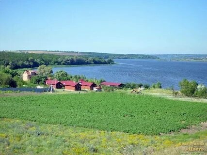 Село цвета