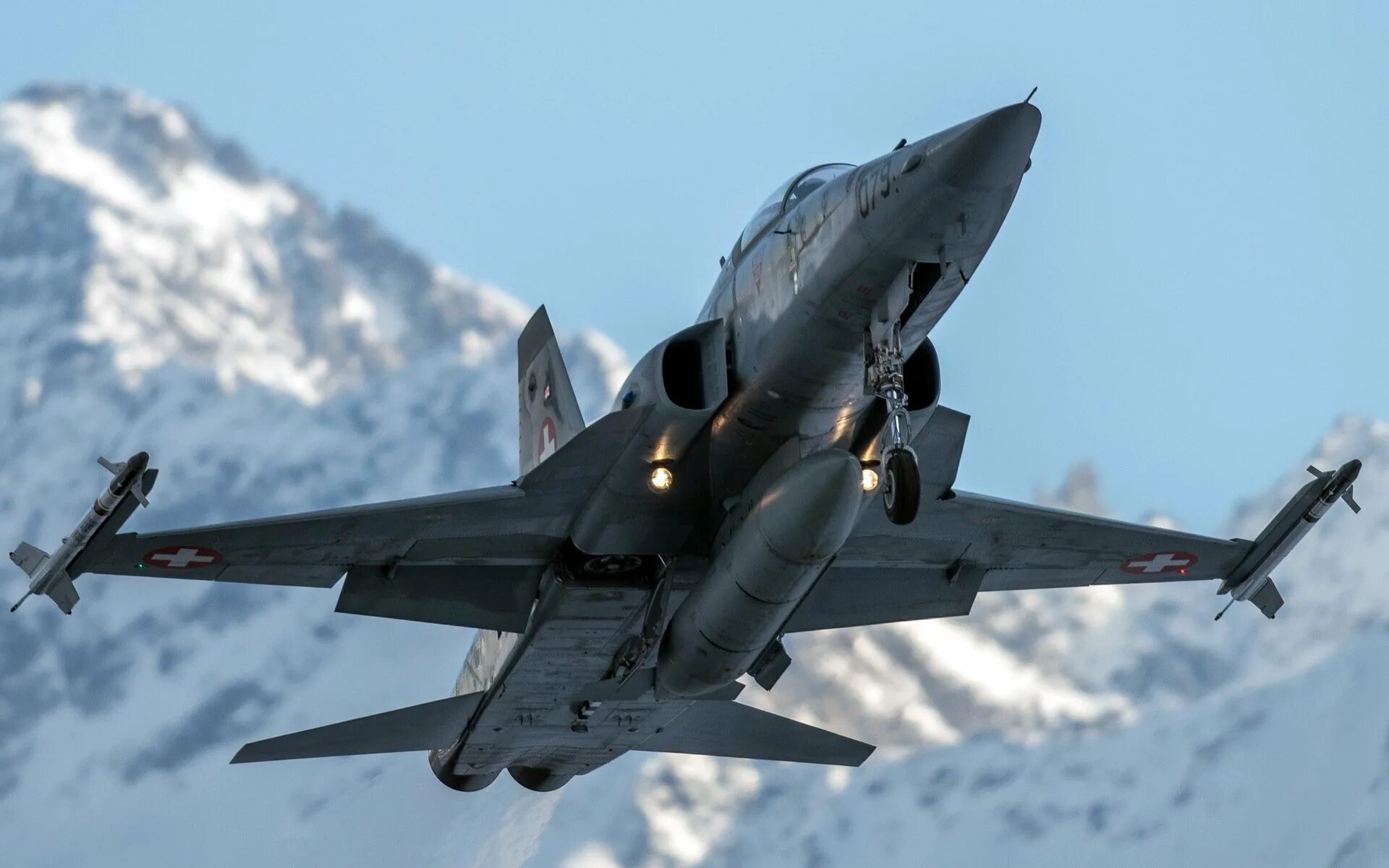 Ал ф 5. Самолет ф-5 Тайгер. Истребитель ф5. Истребитель ф 5е. MCDONNELL Douglas f-15 Eagle.