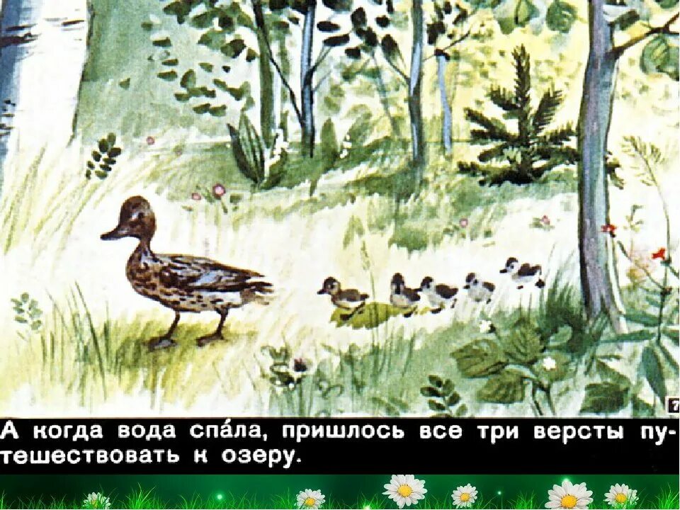 Утята и ребята пришвин читательский. Диафильм ребята и утята пришвин. Ребятата и утята пришвин. М пришвин ребята и утята. Пришвин утята.