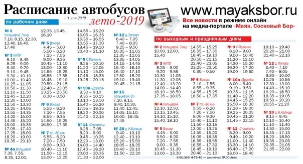 Расписание 402 маршрутки. Расписание автобусов в Сосновом Бору Ленинградской области. Расписание автобусов Сосновый Бор. Г Сосновый Бор расписание автобусов. Расписание автобусов Сосновый.