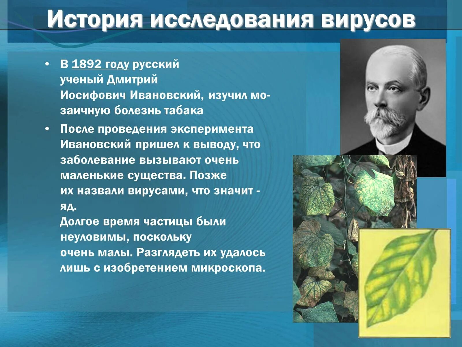 Презентация по биологии на тему вирусы. Вирусы презентация. презентация на тему вирусы. история изучения вирусов. презентация на тему вирусы по биологии.