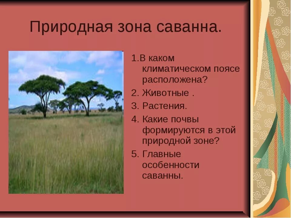 Зона саванн растения. Саванна это природная зона. Характеристика саванны. Саванна климатические зоны. В какой из указанных природных зон саванны