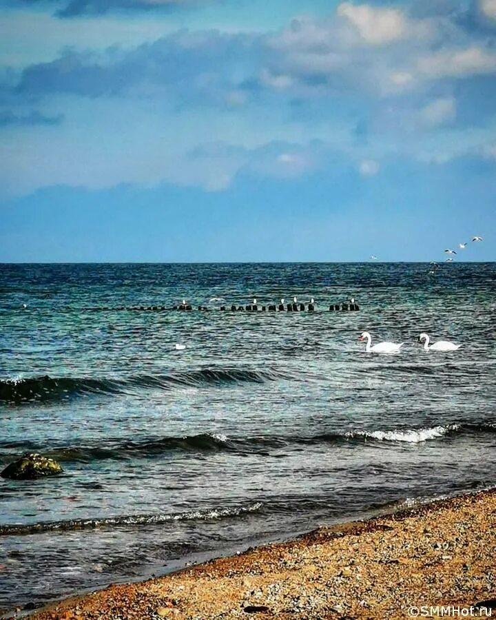 Зеленоградск. Зеленоградск море. Зеленоград море. Зеленоградск пляж Крымская.