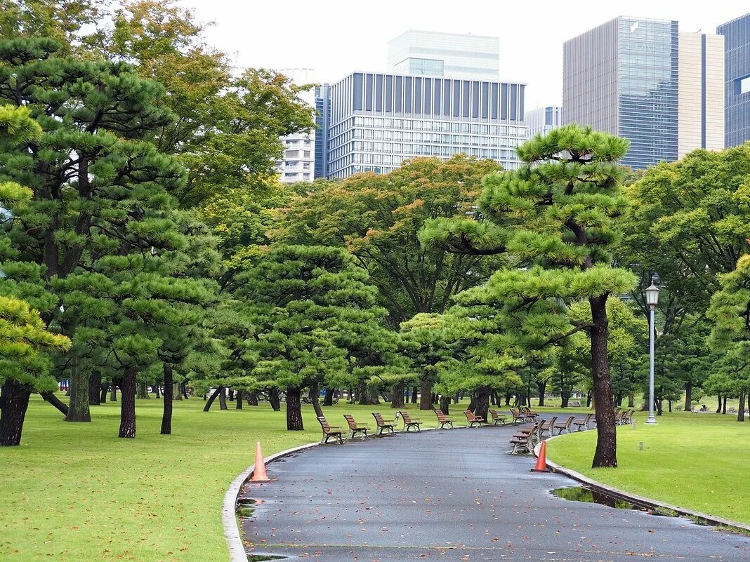 Tokyo park