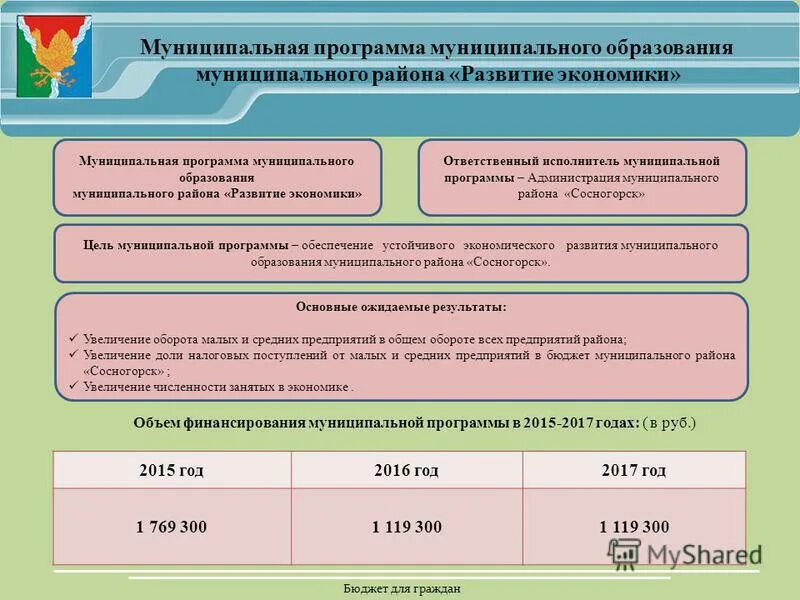 Исполнитель муниципальной программы. Типы государственных программ. Программное обеспечение жкх. Исполнитель муниципальной программы. Муниципальные программы.