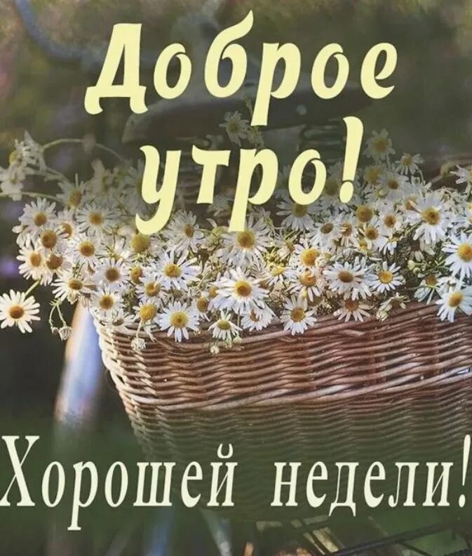 Хорошего понедельника лето картинки. Доброе утро хорошей недели. открытки с добрым утром и хорошей недели. хорошей недели. доброе утро хорошего начала недели.