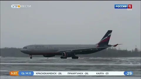 Самолет москва сочи 2024