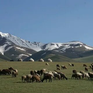 Калмак
