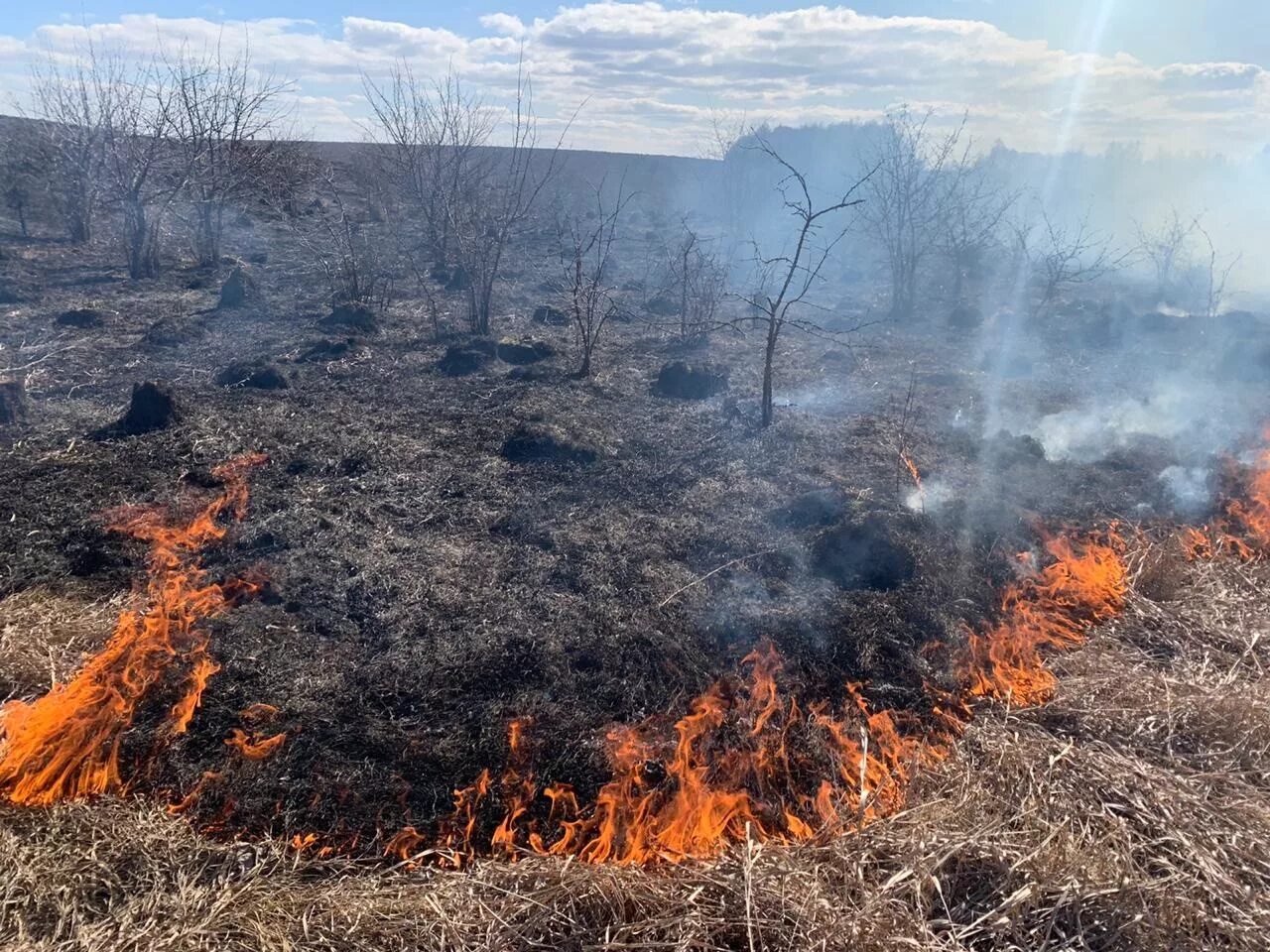 Пал сухой травы МЧС. Природные пожары. Горение сухой растительности. Пожар весной.