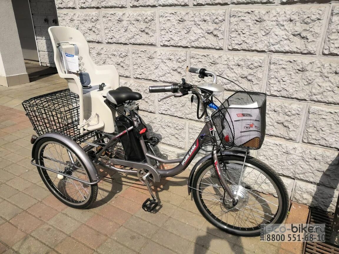 Двухместные трехколесные электровелосипеды. Электровелосипед Ekobike z-1 350w 48v 12ah. Электровелосипед трёхколёсный взрослый двухместный. Экобайк четырехколесный двухместный. Под крышей трёхколёсный электровелосипед.