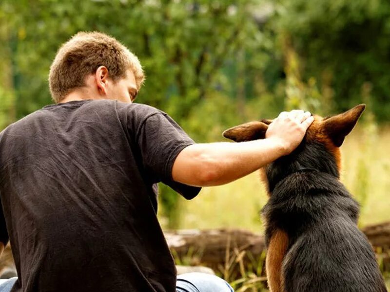 Человек обнимает собаку. Хозяин собаки. Парень с собакой на закате. Милосердие к животным. Ребенок обнимает собаку.