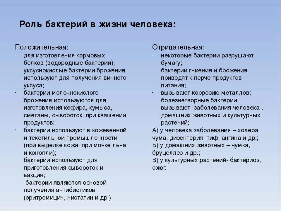 Минусы бактерий. Значение бактерий в природе и жизни человека кратко. Роль бактерий в жизни человека. Положительная роль бактерий в жизни человека. Роль микроорганизмов в жизни человека.