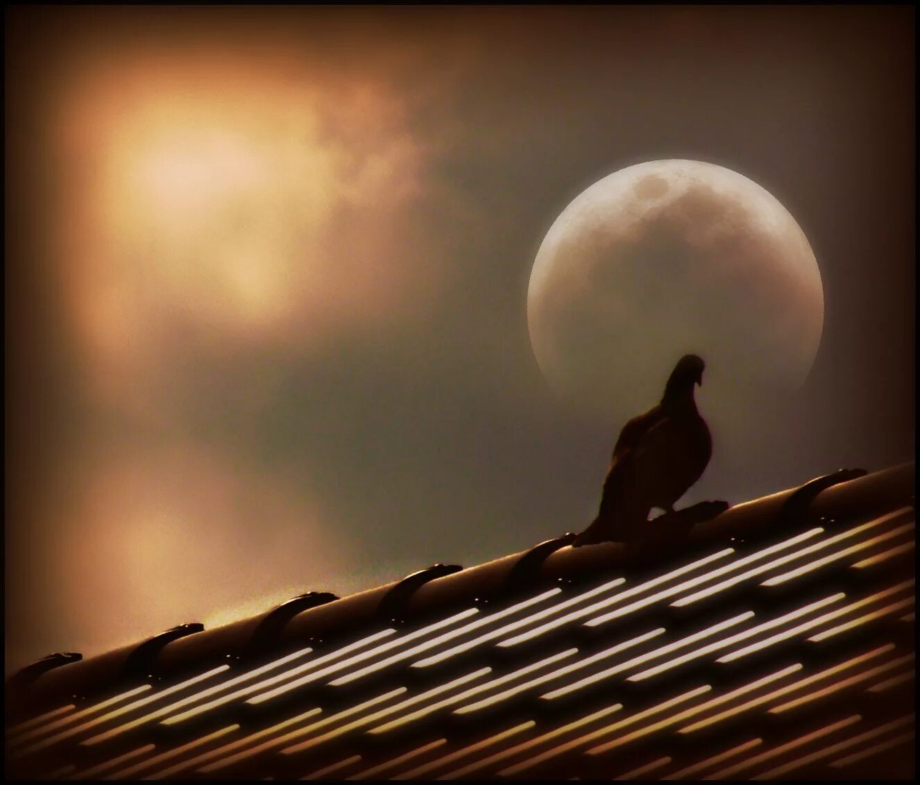 Луна над крышей дома. Луна на крыше. Дом с луной на крыше. Луна над крышами. Крыша под луной.