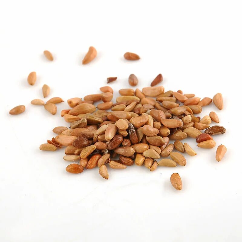 Семена кустовой розы. Семена китайской розы. Семена розы в упаковке. Розовые семена. Семена гавайской розы.