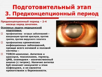 Период перед
