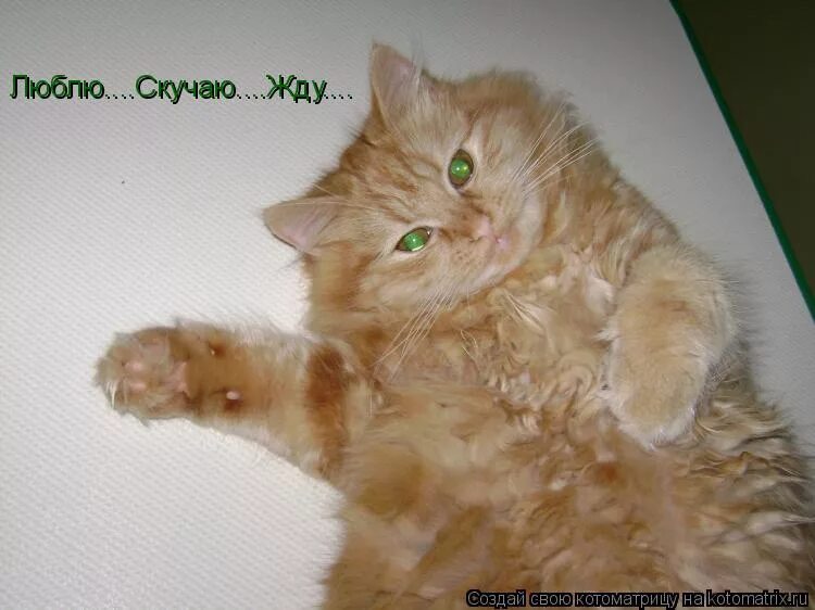 жду скучаю песня. люблю целую жду скучаю. стих вы звоните мне. люблю жду скучаю любимому. слова песни люблю и скучаю.