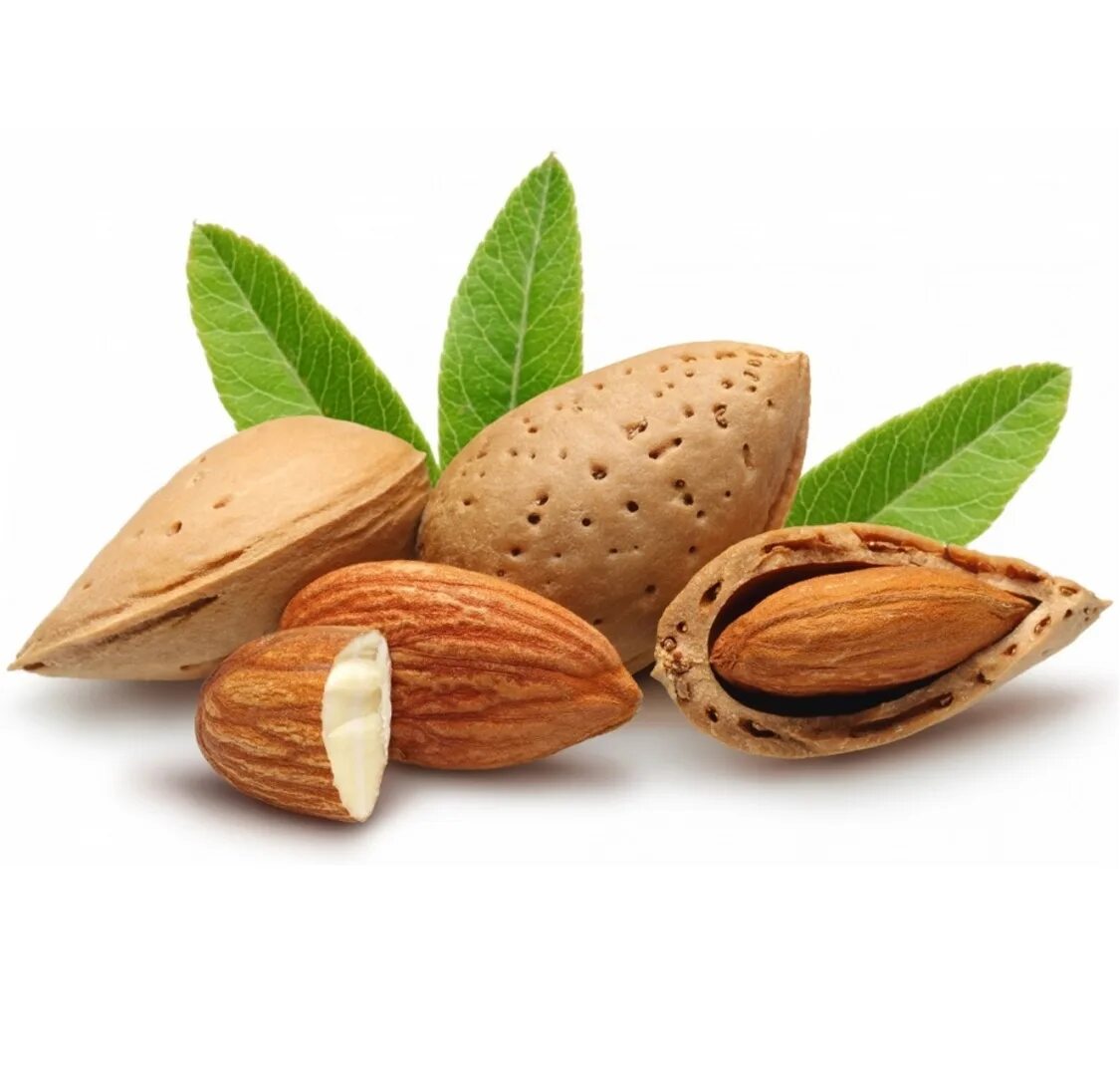 Миндаль картинки. Мендаль. Миндаль орех. Bitter almond. Ядра миндаля.