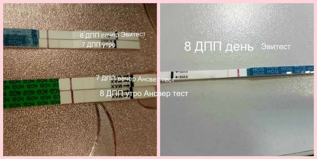 Дпп тянет поясницу. Тест на 8 дпп пятидневок. 8 день после подсадки пятидневок. 8 дпп пятидневок тянет живот. тянет низ живота после переноса эмбрионов.