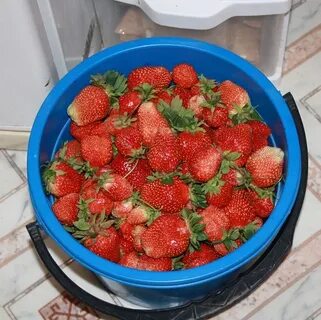 Ведро клубники сколько кг