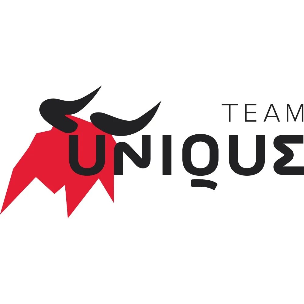 Unique egamers. Тим Юник. Unique логотип. Тим Юник лого. Team unique аватарка.