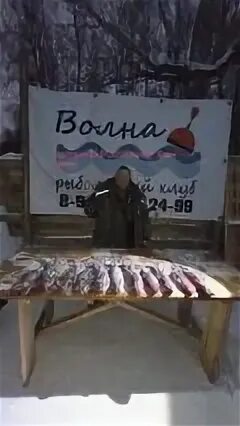Платная рыбалка волна