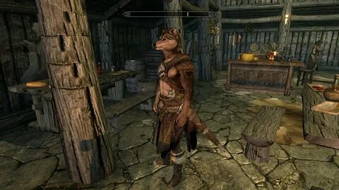 Skyrim se races