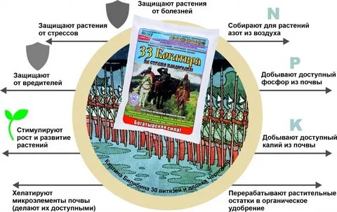 Богатырей по составу
