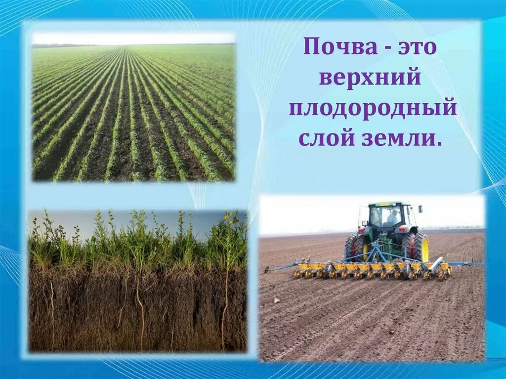 Что такое почва 3. Почва. почва это верхний плодородный слой земли. почва презентация 3 класс. плодородие почвы это 3 класс.