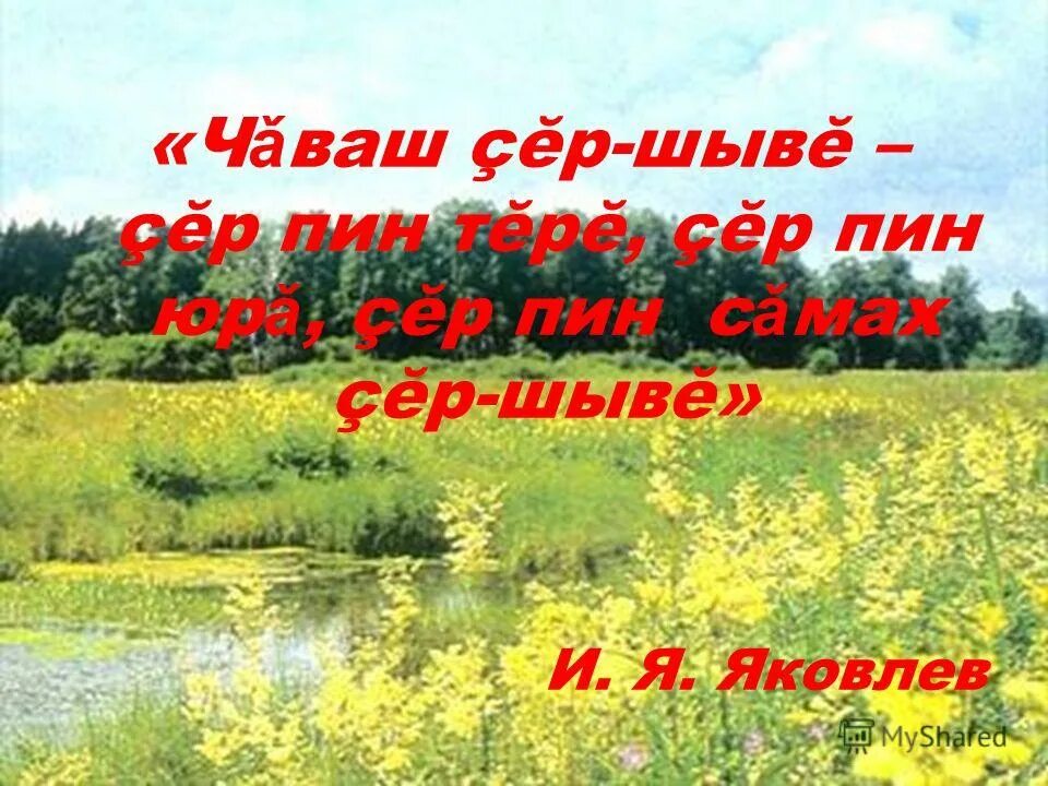 Сергей Есенин Задремали звезды золотые, Задрожало зеркало затона, Брезжит свет н