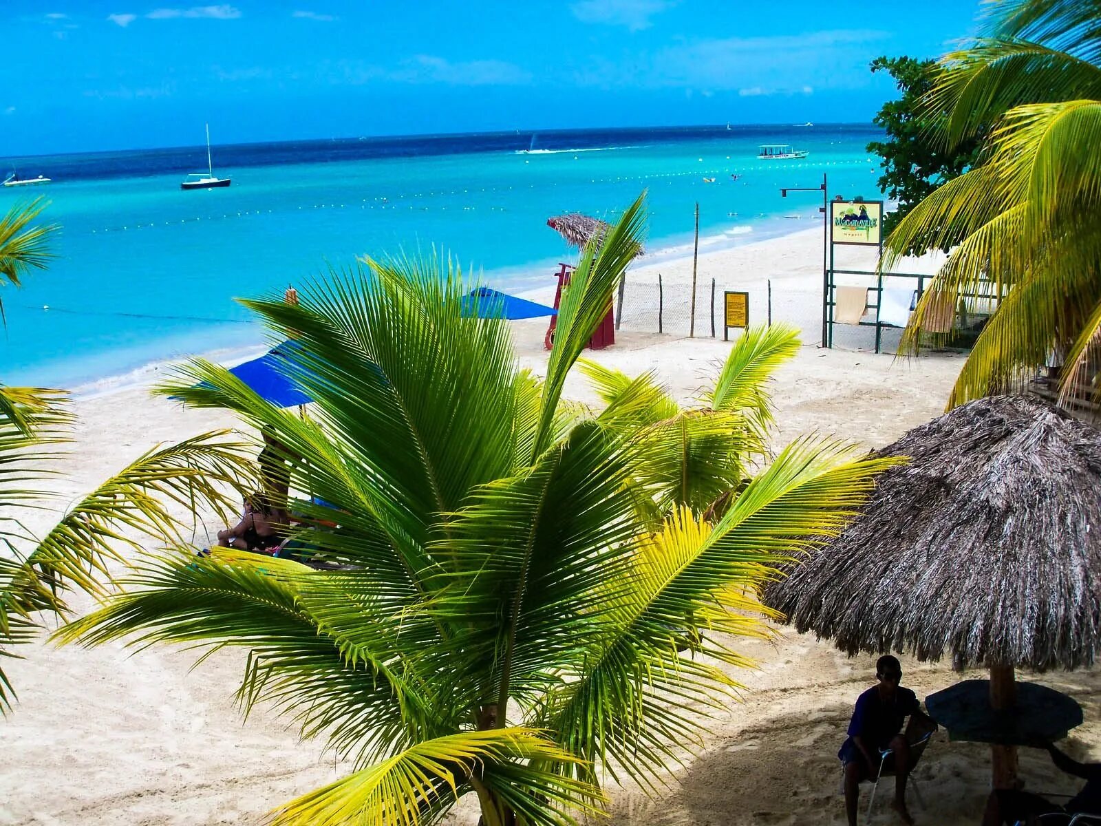 Ямайка стоит посетить страну с позитивным настроем. Ямайская Ривьера. Ямайка пляжи. Ямайка фото. Ямайка красивые места.