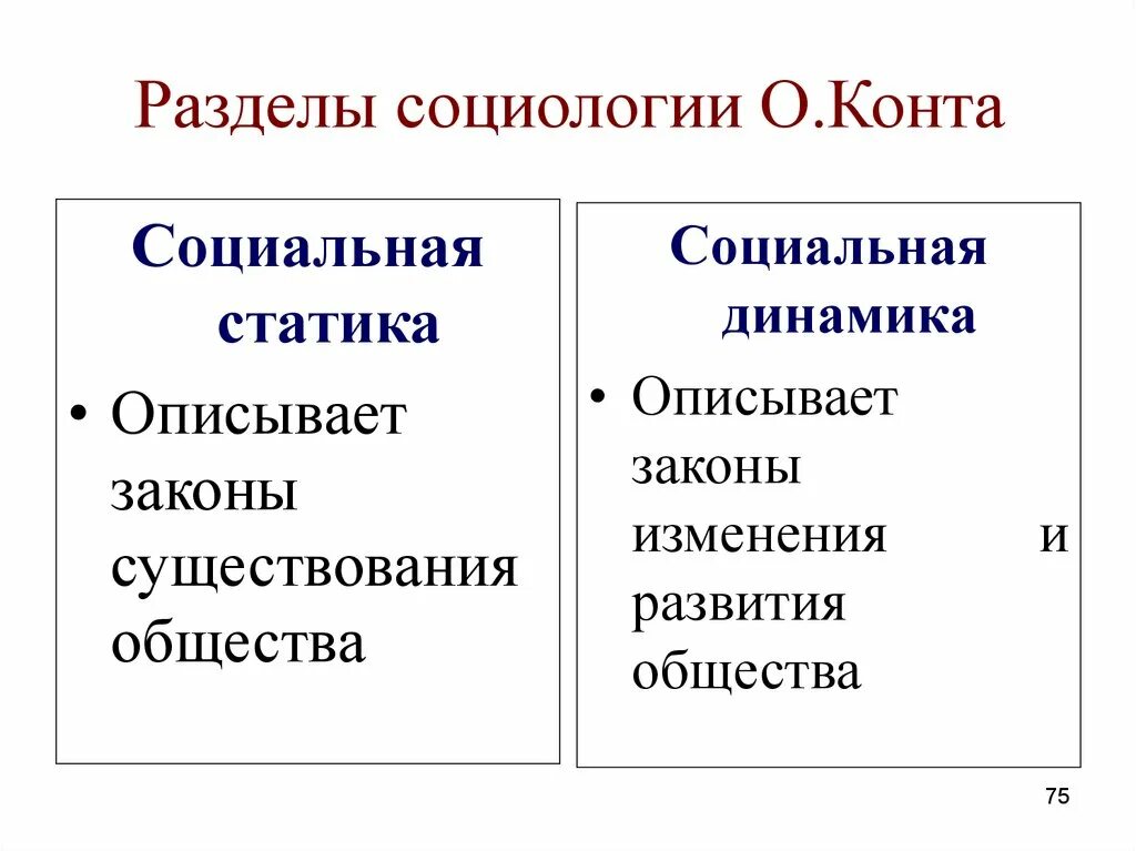 Статика и динамика общества. Огюст конт социальная динамика и статика. статика и динамика в социологии. разделы социологии. разделы социологии по конту.