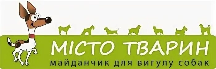 Пес и кот форум
