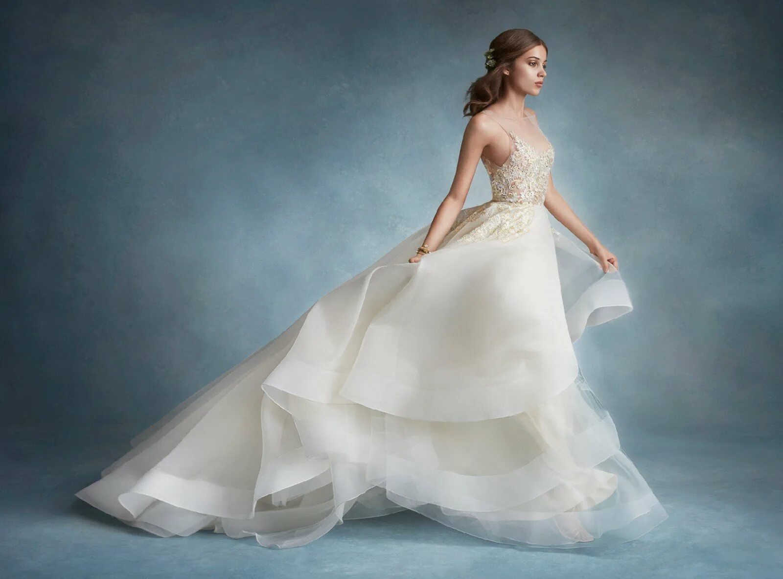 Пышные платья модель. Wedding gown платья свадебные. лазаро свадебные платья. wedding dress/bridal gown – свадебное платье.