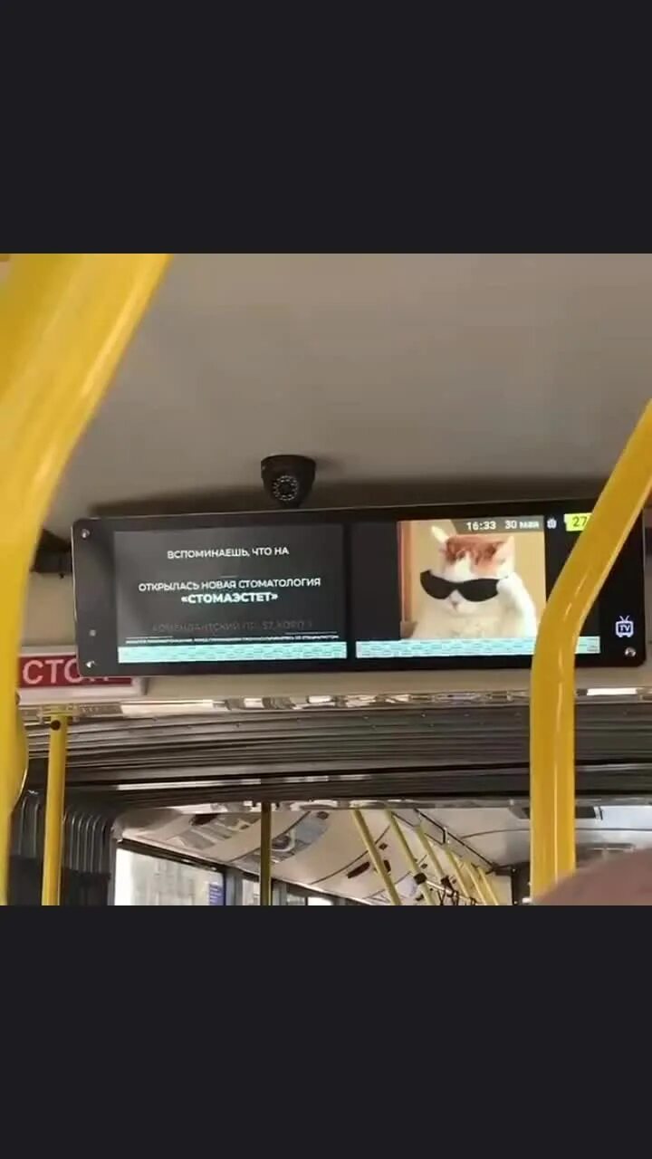 Как тут устоишь