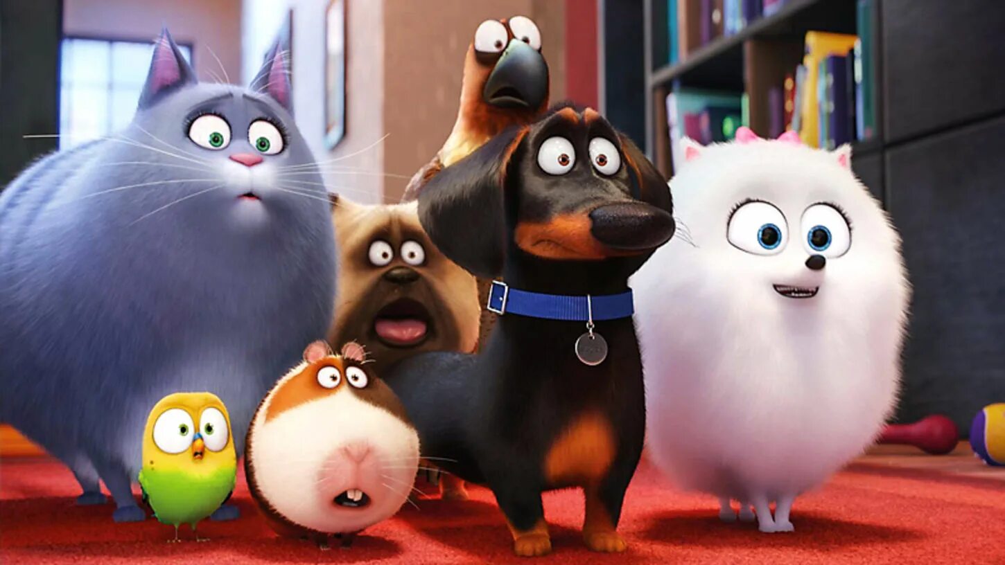 Жизнь дома животных. © the secret life of pets тайная жизнь домашних животных (2016). тайная жизнь домашних животных 2 бадди. тайгая жизньдомашних животных.