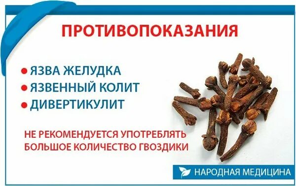 Вред гвоздики для мужчин польза. Гвоздика полезные свойства. гвоздика специя. противопоказания гвоздики. противопоказания гвоздики приправы.