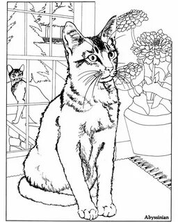Домашние коты рисунок