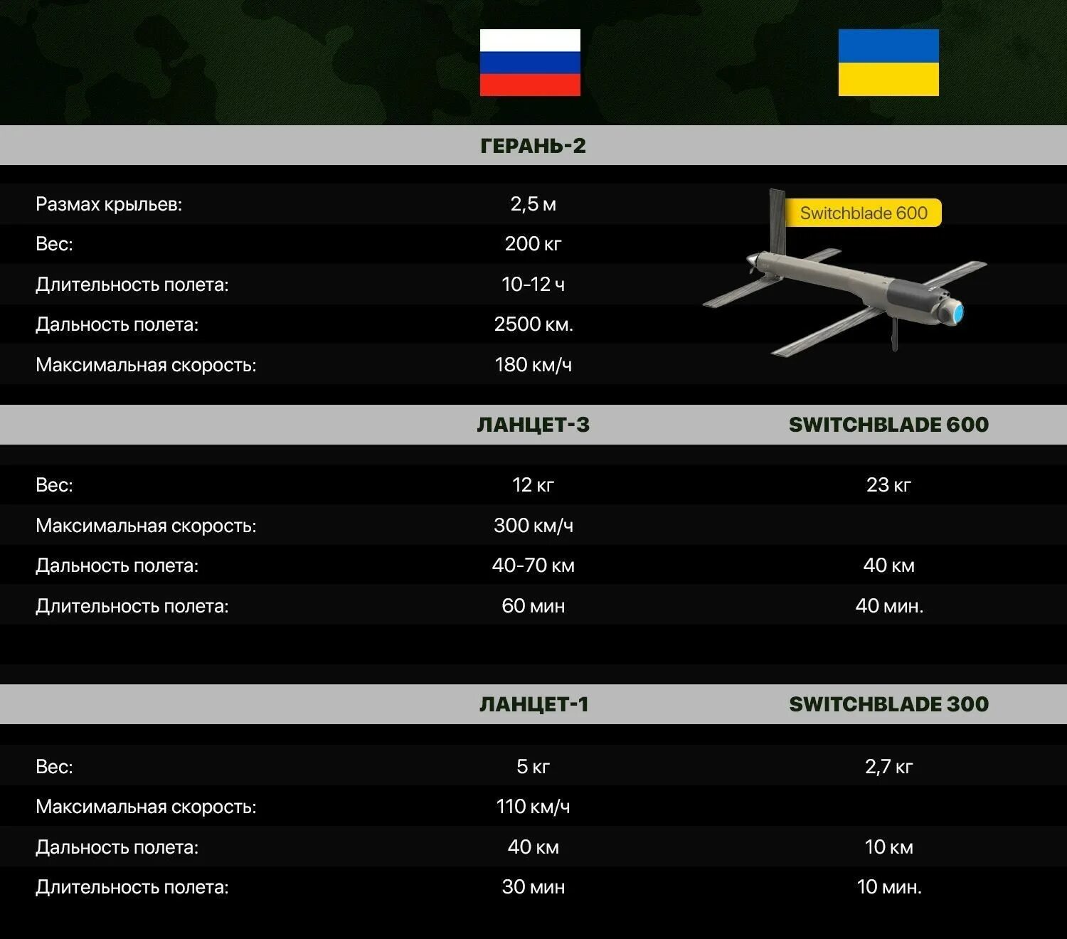 Типы украинских беспилотников самолетного типа. Украинский бпла сокол 300. Украинские дроны дальность полета. Беспилотник с дальность полета 1000 км. Украинские дроны дальность полета.