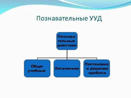 Виды познавательных действий