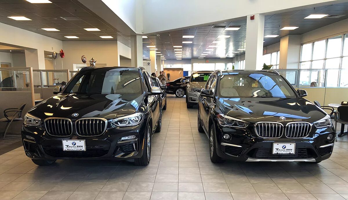 BMW x3 f01. BMW x1 x3 x5. BMW x1 vs. BMW x5 и x3.