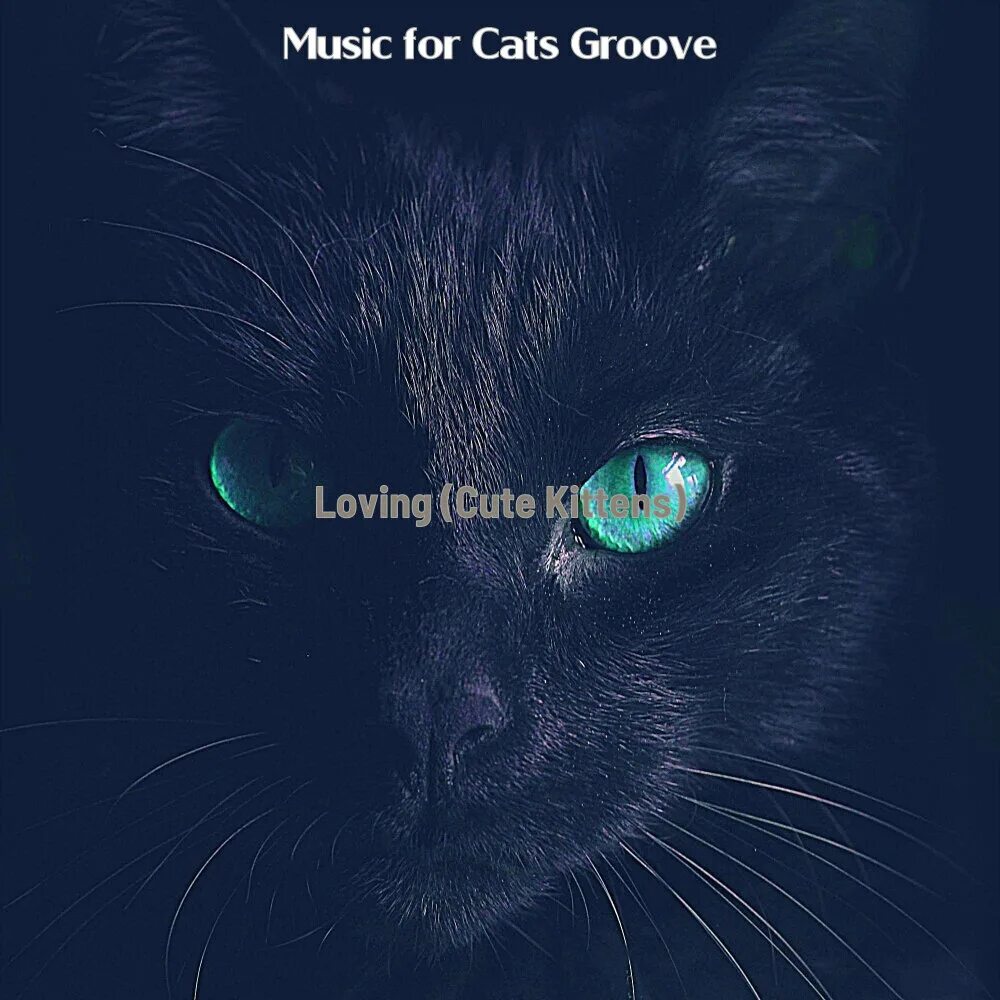 Once a cat. Кэт Грув. Грув кэтс. Беби тайм Groove Cats. ВАВУ Тиме Groove Cats.