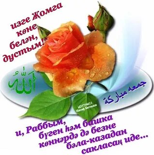 Язнын беренче коне белэн