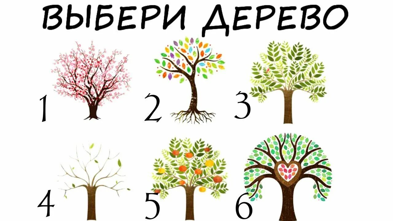 Выбирайте дерево и живите. Тест выбери дерево. Психологические тесты. Психологический тест о характер о дереве. Дерево тест по психологии.